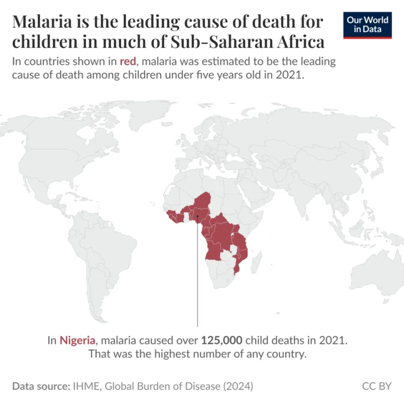 Mapping the Resistance Landscape: A Practical Guide to Chloroquine-Resistant Malaria for US Travelers and Clinicians