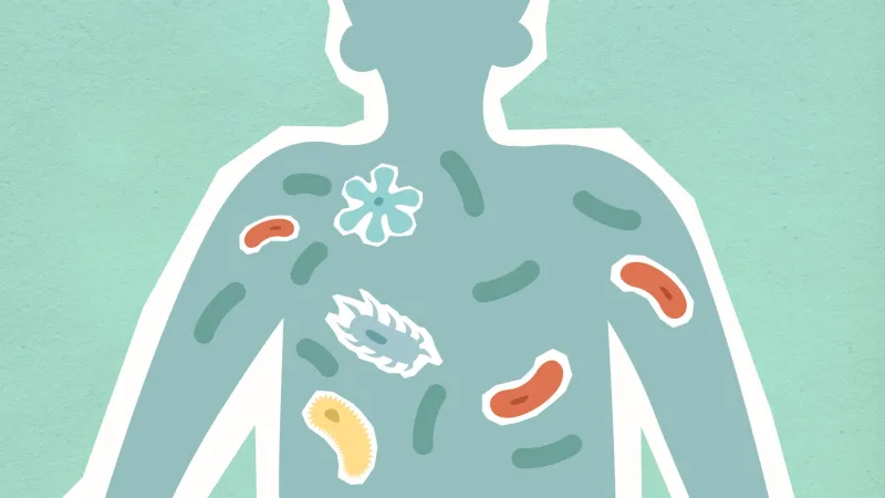 Gut Feelings: How Your Microbiome Quietly Governs Chloroquine's Effectiveness