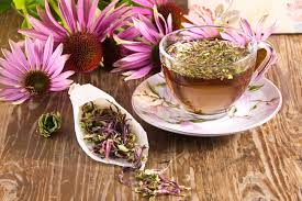 Teh Echinacea: Herbal Meningkatkan Daya Tahan Tubuh