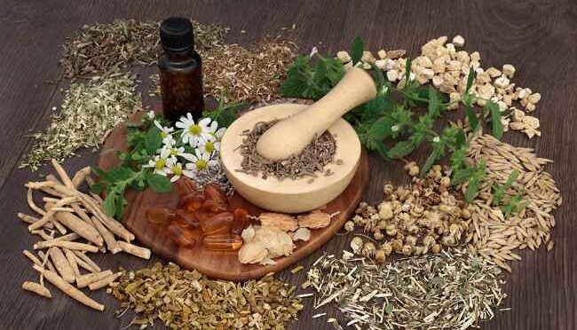 Cara Penggunaan Obat Herbal yang Tepat untuk Kesehatan