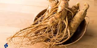 Ginseng: Tanaman Herbal dengan Segudang Manfaat Kesehatan